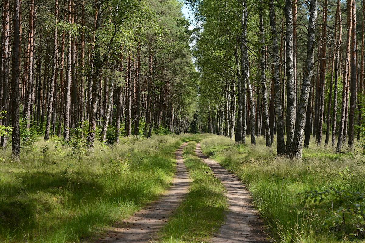 Zrównoważone planowanie wydarzeń