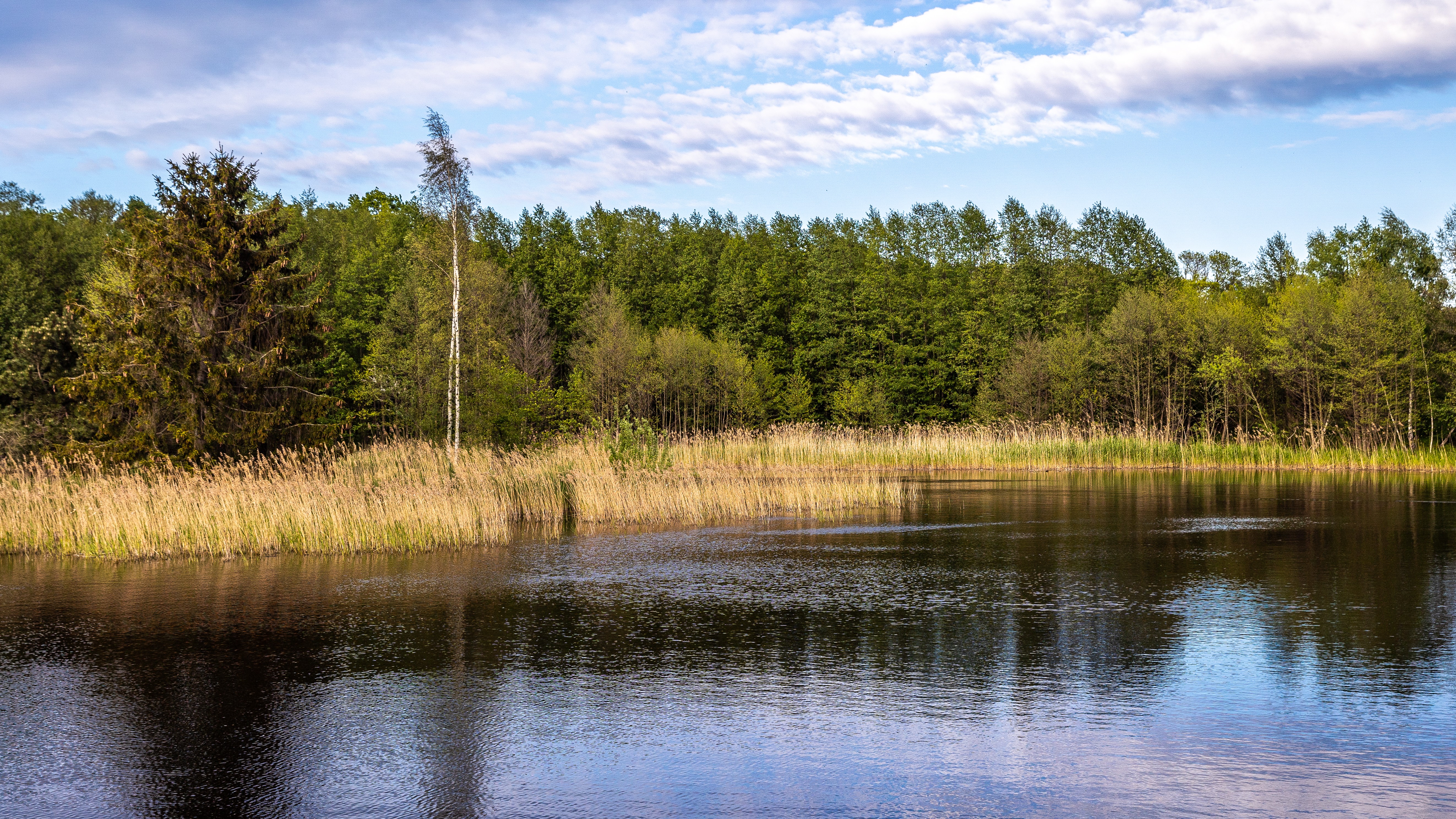 aktualność: Działania dla klimatu w turystyce – przewodnik dla zrównoważonego Gdańska